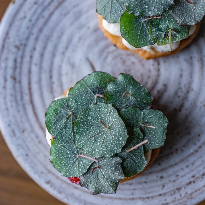 Best Fine Dining Restaurants Hong Kong: Roganic