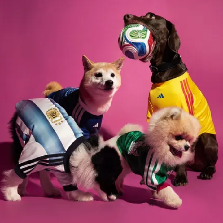 The sassy edit, May releases beauty fashion lifestyle wellness, world cup adidas jersey pets