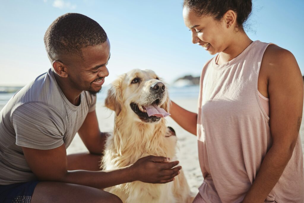 Love, dog and couple being happy, smile and bonding on beach, vacation and outdoor together. Romanc
